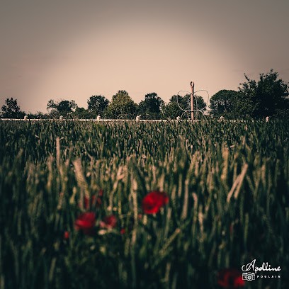Les Fils Papillon, Couturier à Marcillé-Robert