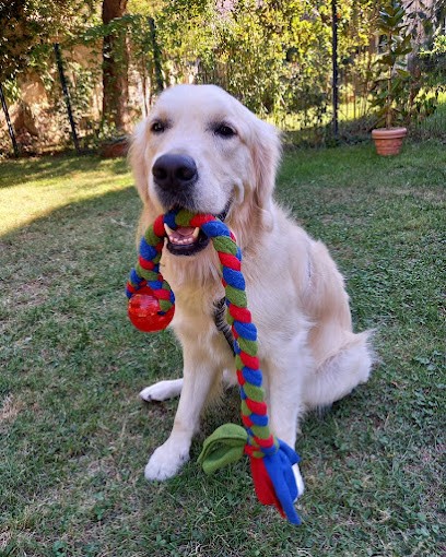 Leenia, Couturier à Vauvert