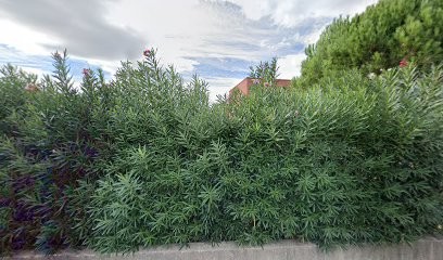 KALYPSE, Couturier à Mauguio