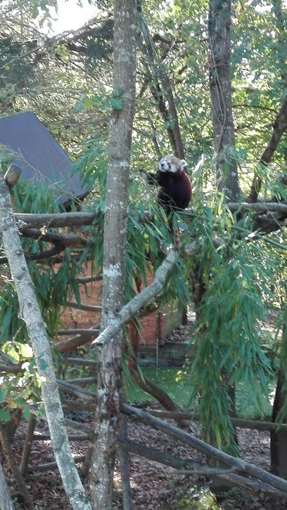 Razafindralambo Claire, Couturier à Boisseuil