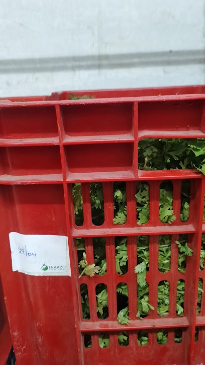 Pavau, Couturier à Orléans