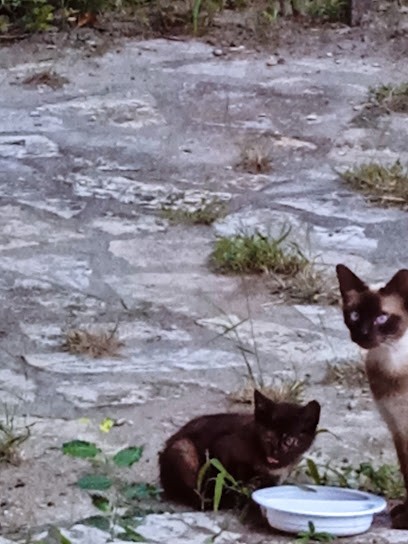 Du fil a la création, Couturier à Aramon