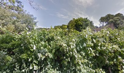 La Machine, Couturier à Angresse