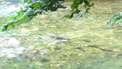 THOURY Emmanuelle EIRL, Couturier à Saint-Pierre-des-Corps