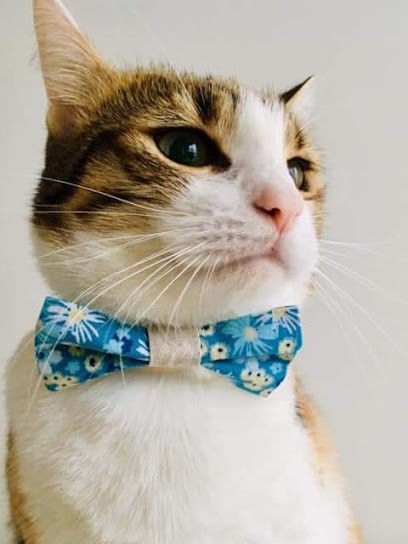 Le Fil Du hibou, Couturier au Mans