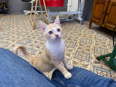 Express retouche N°1, Couturier à Reims