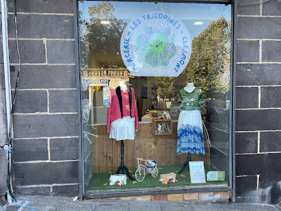 Mercerie Les Tricopines, Boutique De Laine à Clermont-Ferrand