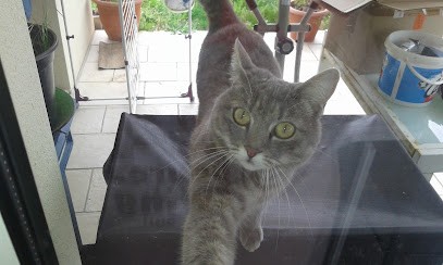 Coud Coud C Val, Couturier à Sablonceaux