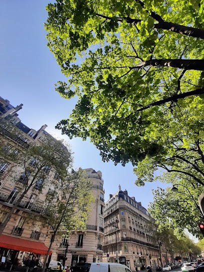 Pois Et Mesures, Couturier à Paris 17