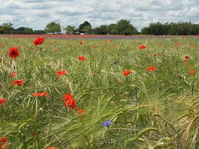 Amary Alice, Couturier à Saint-Hilaire-Saint-Mesmin