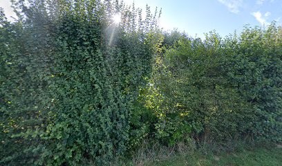 Sandrine couture et création, Couturier à La Genétouze