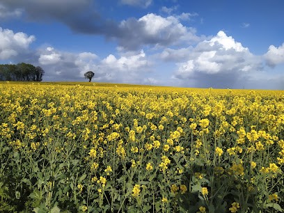 Re-Cré-Couture, Couturier à Saint-Saturnin-du-Bois
