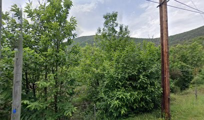 Artisanale du Cachemire, Service de Broderie à Saint-Martial