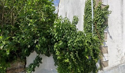 Breizh Créations, Couturier à Concarneau