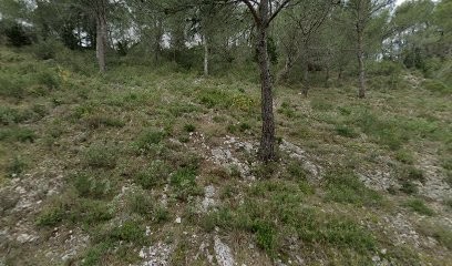 Couture Saint Rémoise, Couturier à Saint-Rémy-de-Provence
